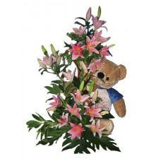 BIG-S004