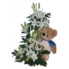 BIG-S005
