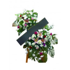W003
