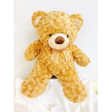 TD60cm5